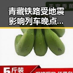 青藏铁路受地震影响列车晚点引发全国影响力媒体关注湘潭总编辑现场报道